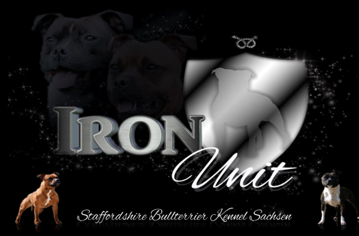 Homepage - Iron Unit
